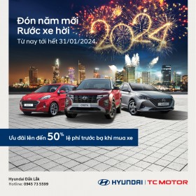 Hyundai dẫn đầu thị phần xe Ô tô trong năm 2023 tại Đắk Lắk